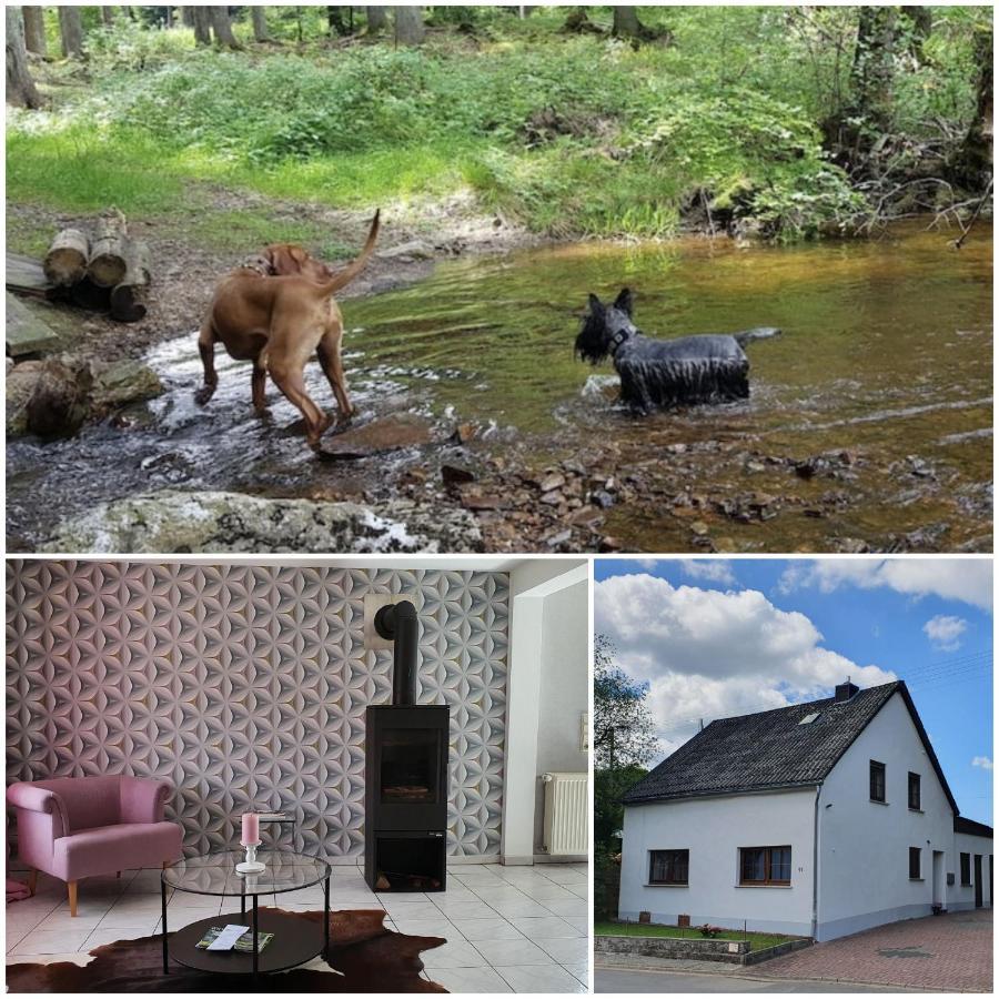 Nationalpark Ferienhaus Sophia-Luisa Borfink 外观 照片